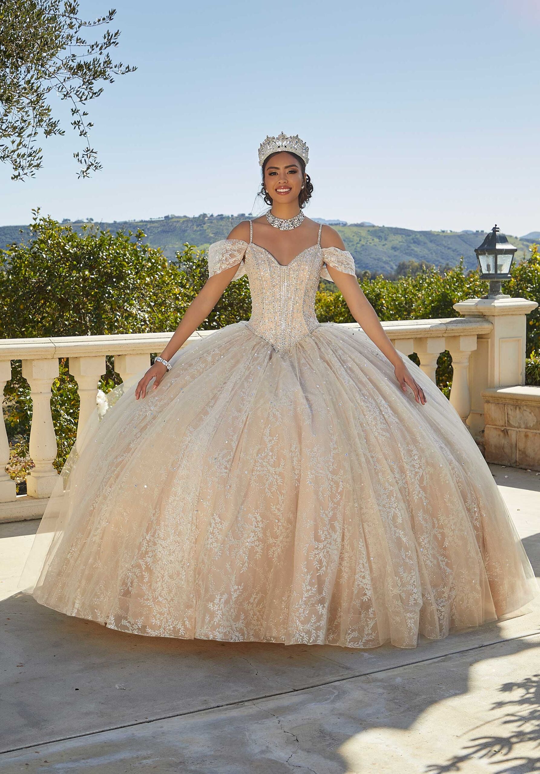 Patterned Glitter Quinceañera Dress with Bow