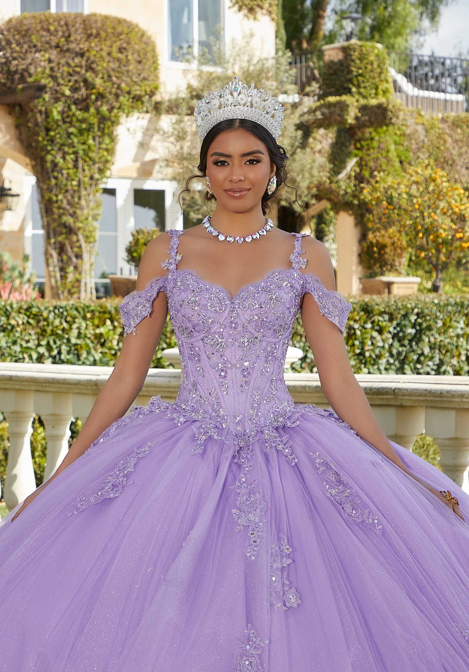 Chantilly Lace and Sparkle Tulle Quinceañera Dress
