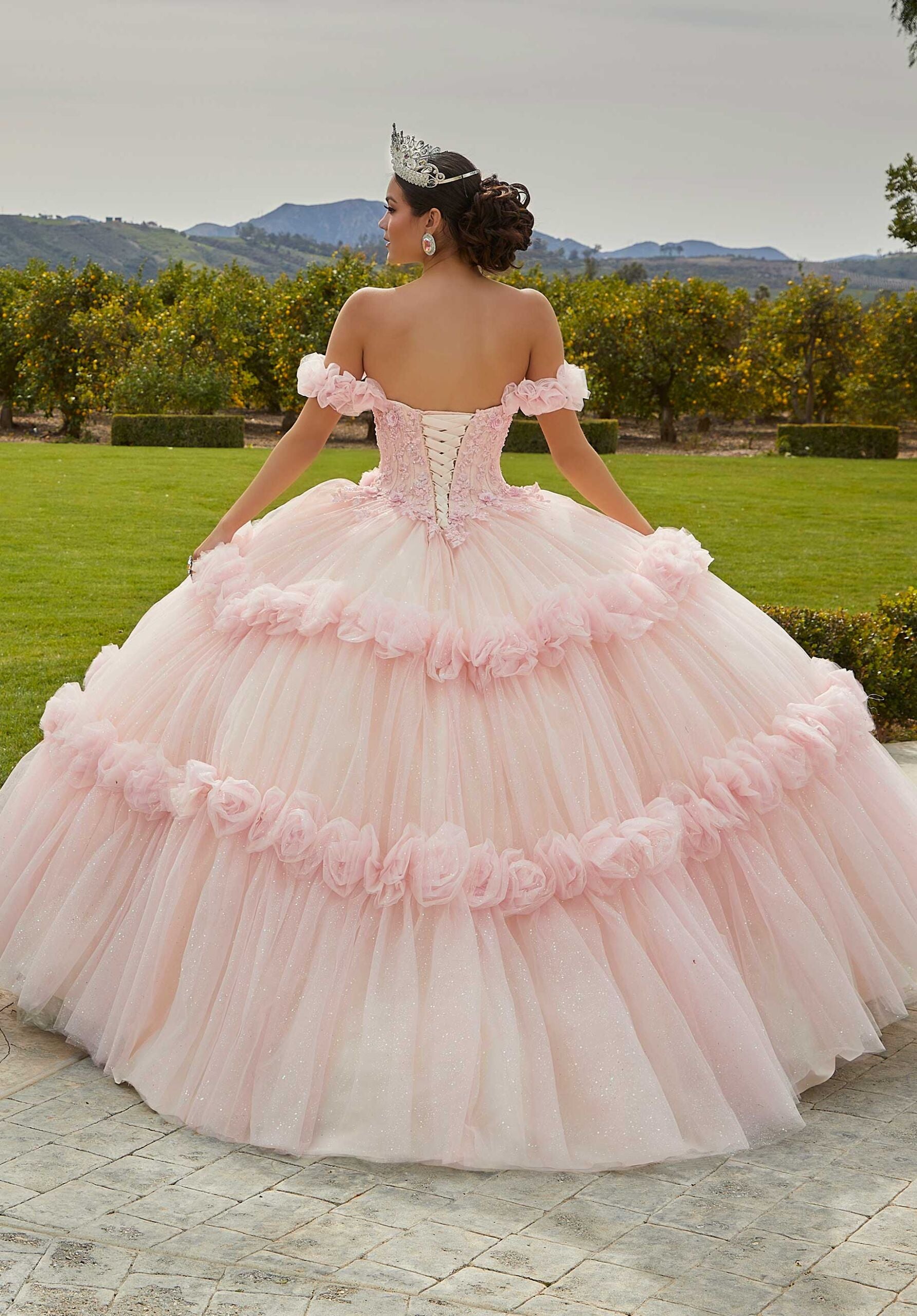 Floral Embroidered Lace and Tulle Quinceañera Dress