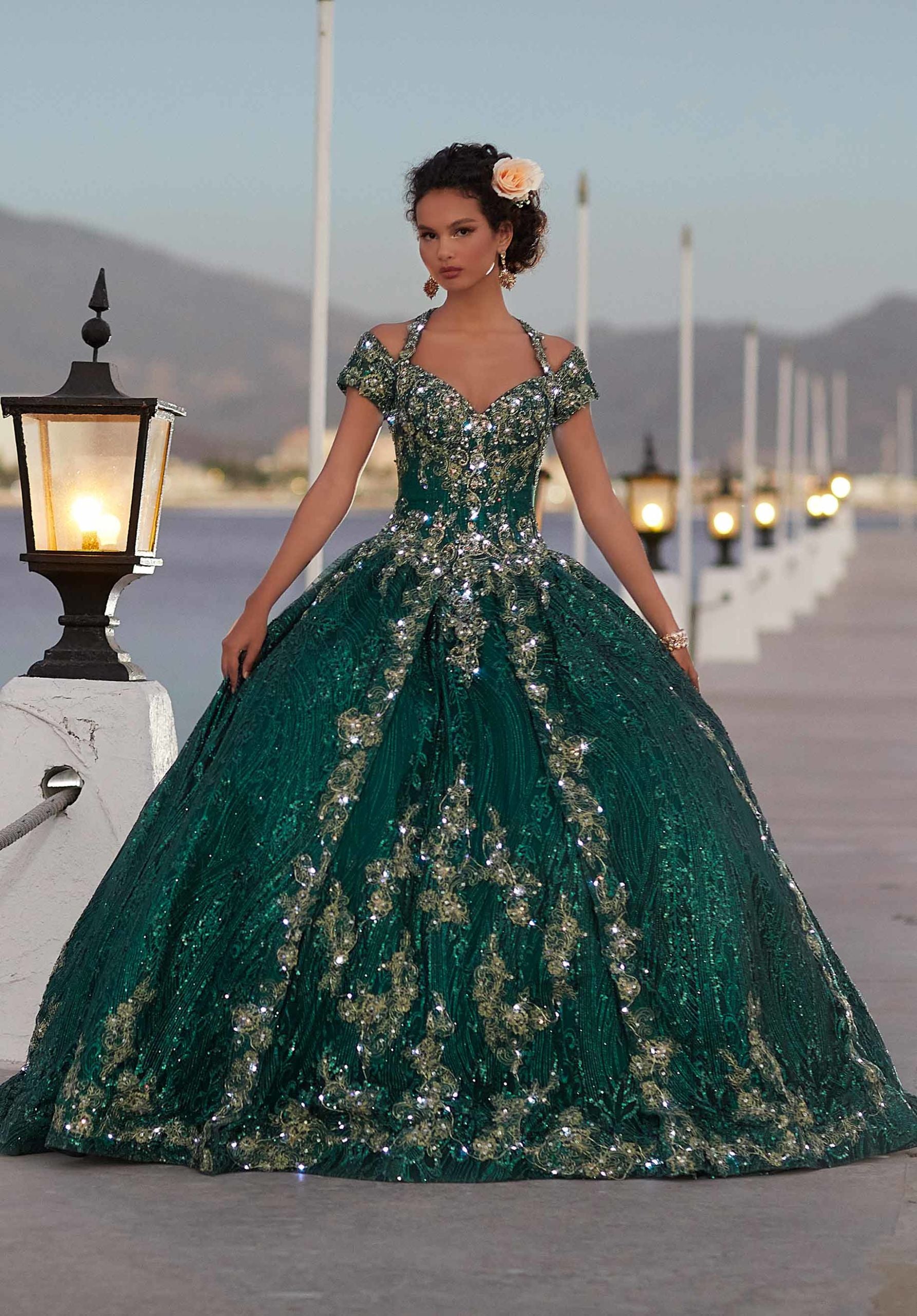 Patterned Sparkle Tulle Quinceañera Dress
