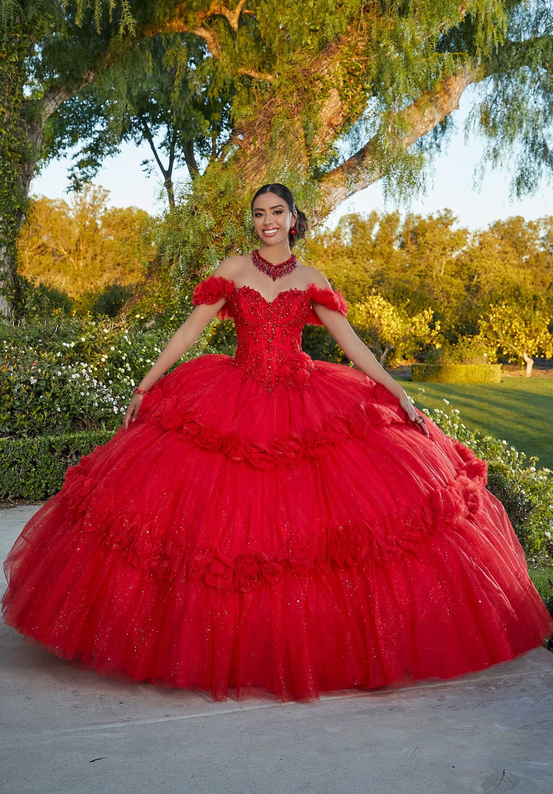Floral Embroidered Lace and Tulle Quinceañera Dress