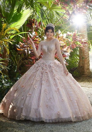 Glitter Net and Floral Applique Quinceañera Dress