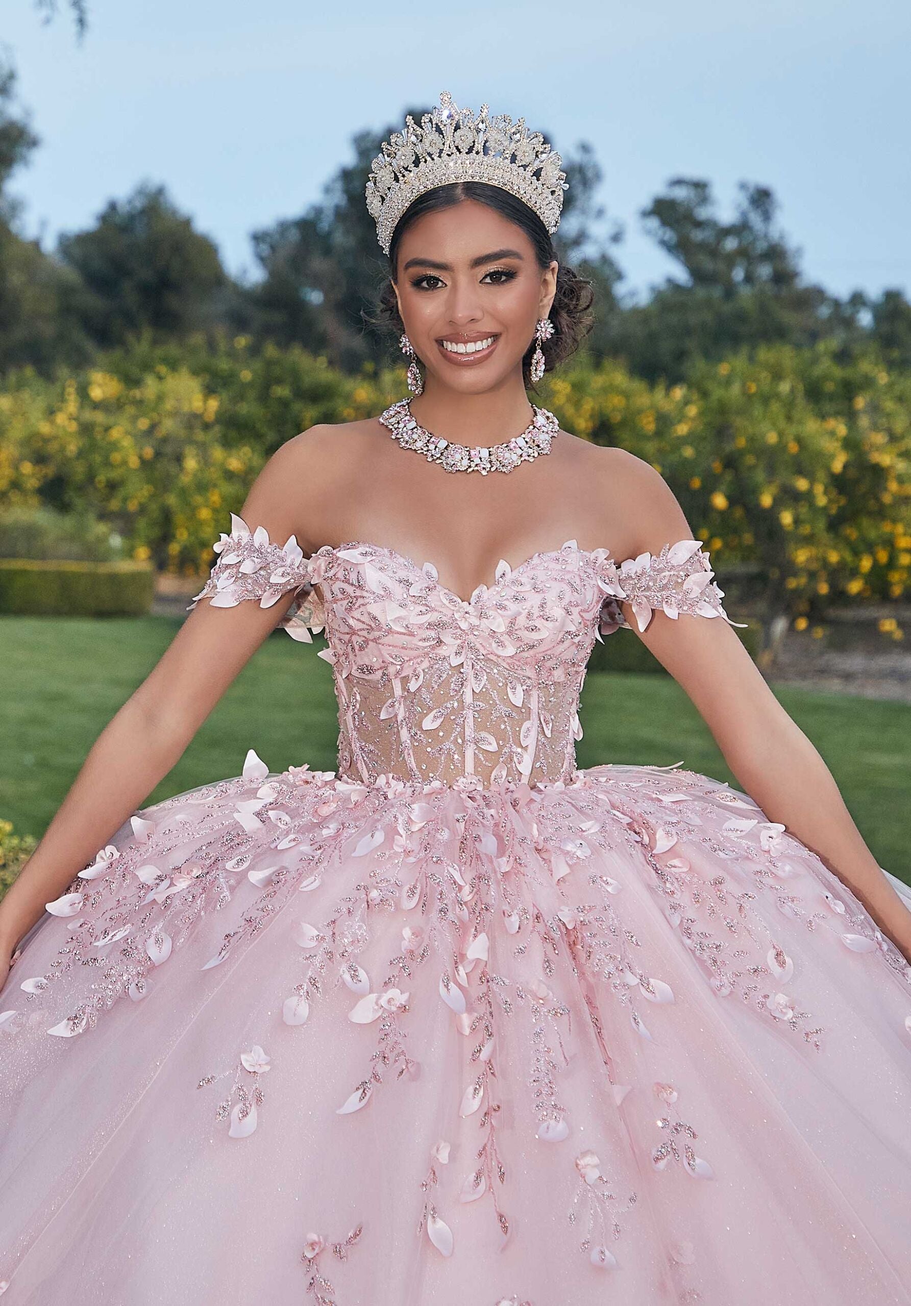 Three-Dimensional Glitter Embroidered Quinceañera Dress