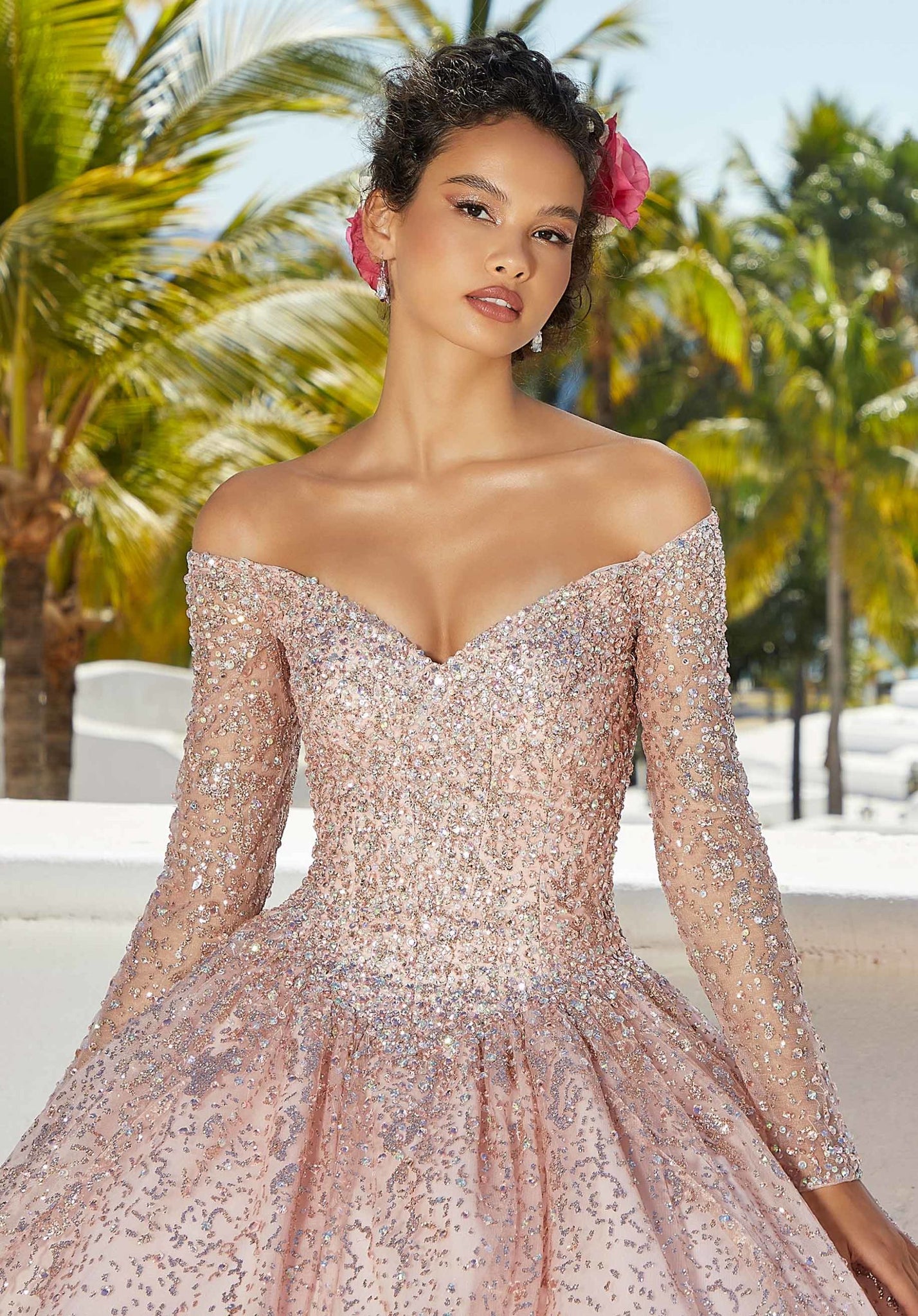 Patterned Glitter Net Quinceñera Dress