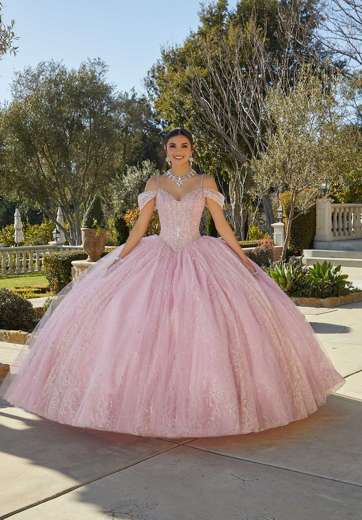 Patterned Glitter Quinceañera Dress with Bow
