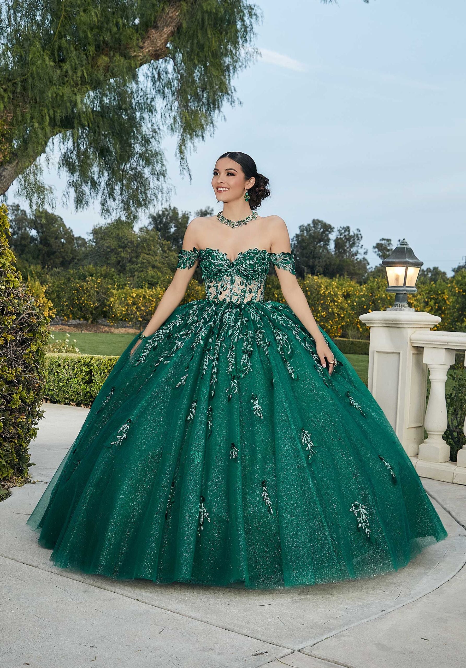 Three-Dimensional Glitter Embroidered Quinceañera Dress