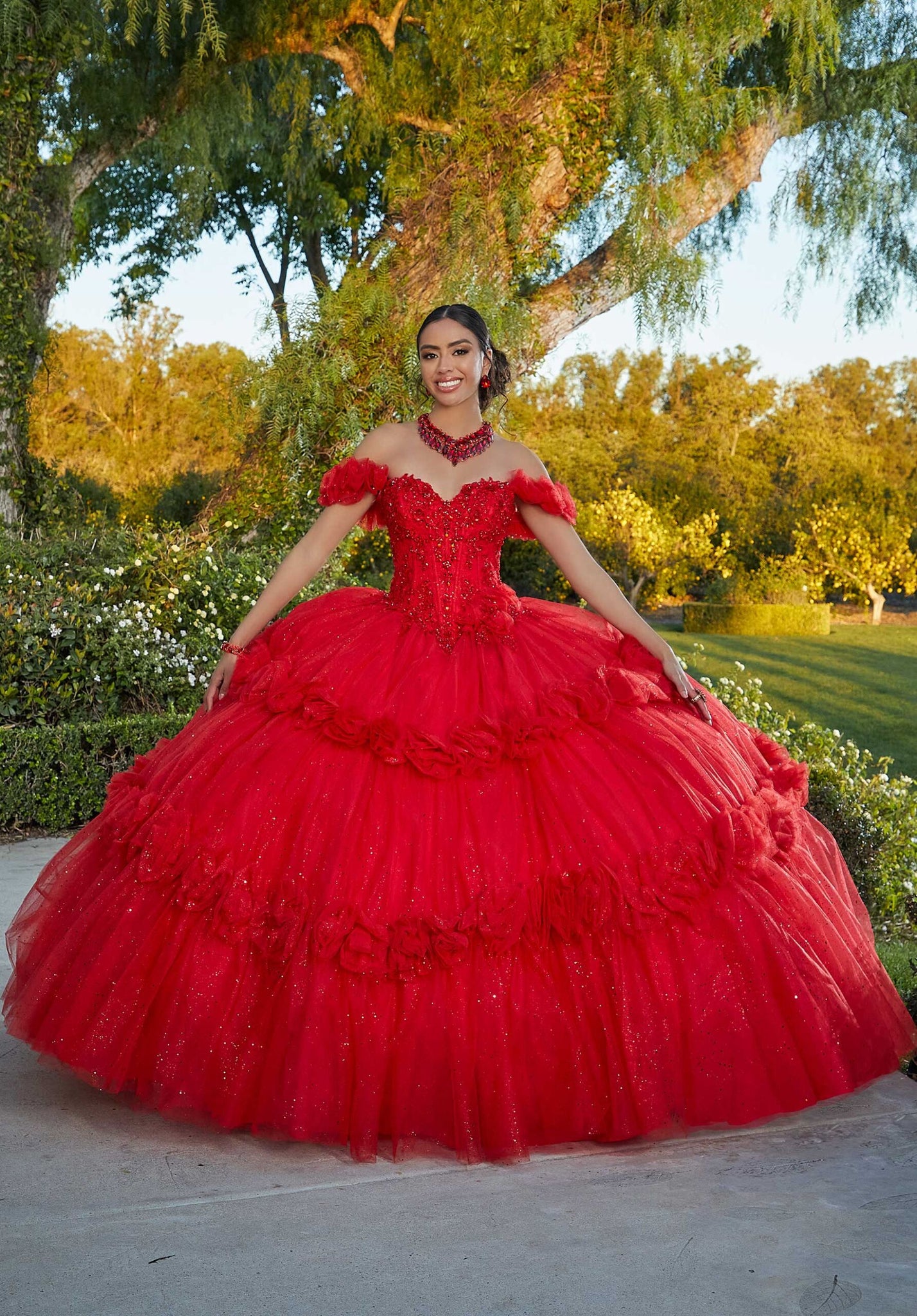Floral Embroidered Lace and Tulle Quinceañera Dress