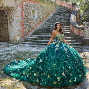 Quinceañera dress with three-dimensional butterfly details