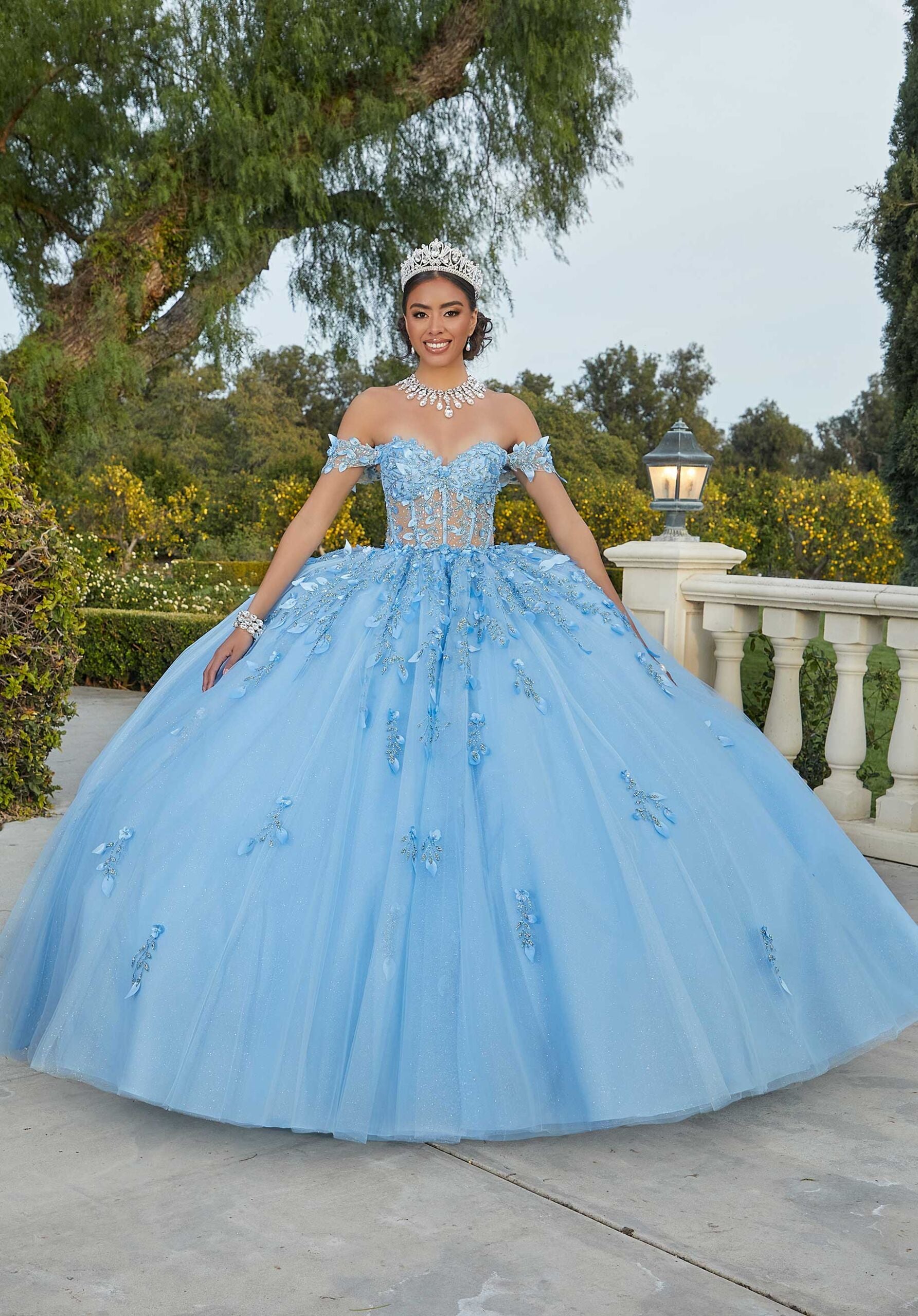 Three-Dimensional Glitter Embroidered Quinceañera Dress