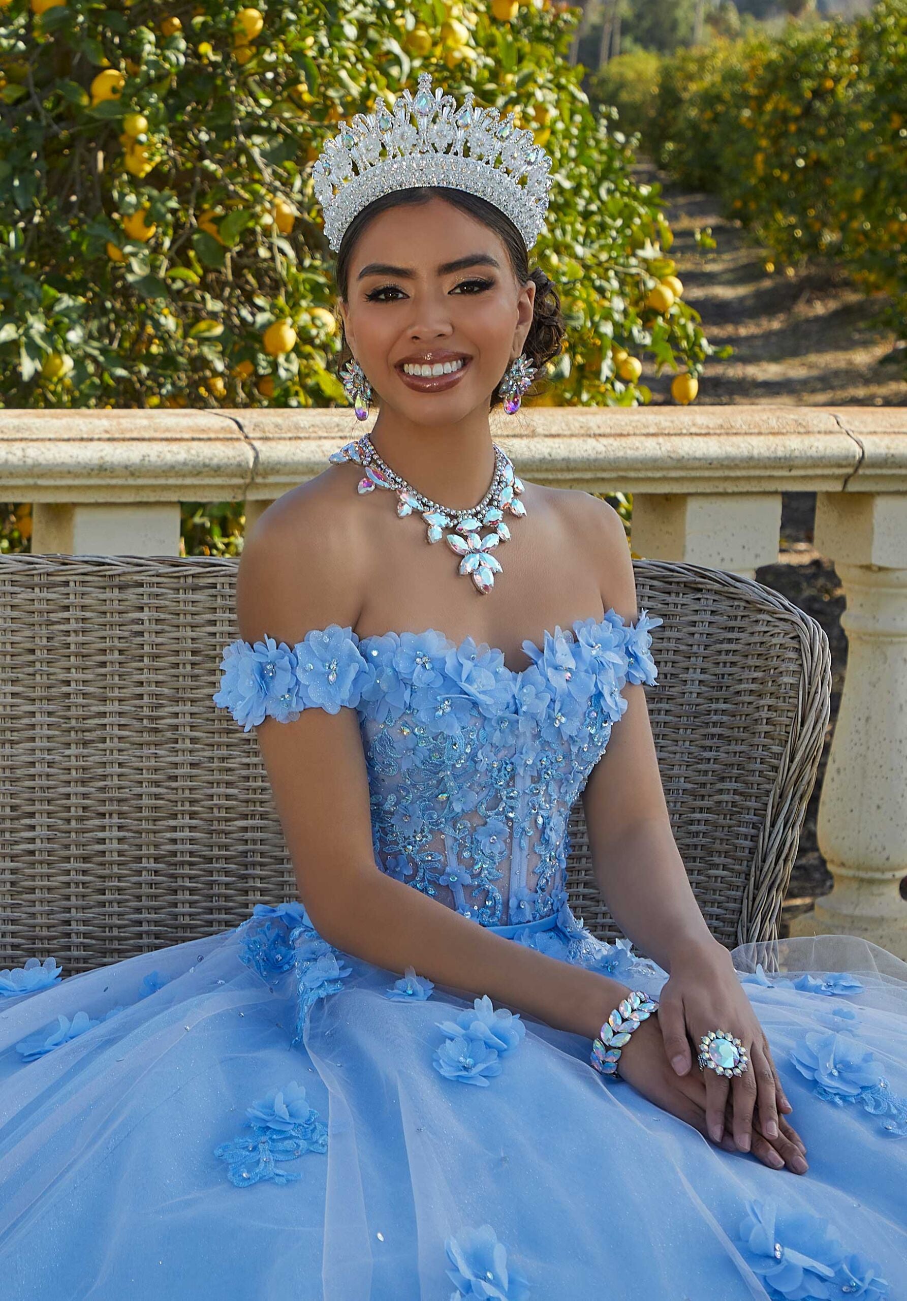 Sparkle Tulle and Floral Embroidered Quinceañera Dress