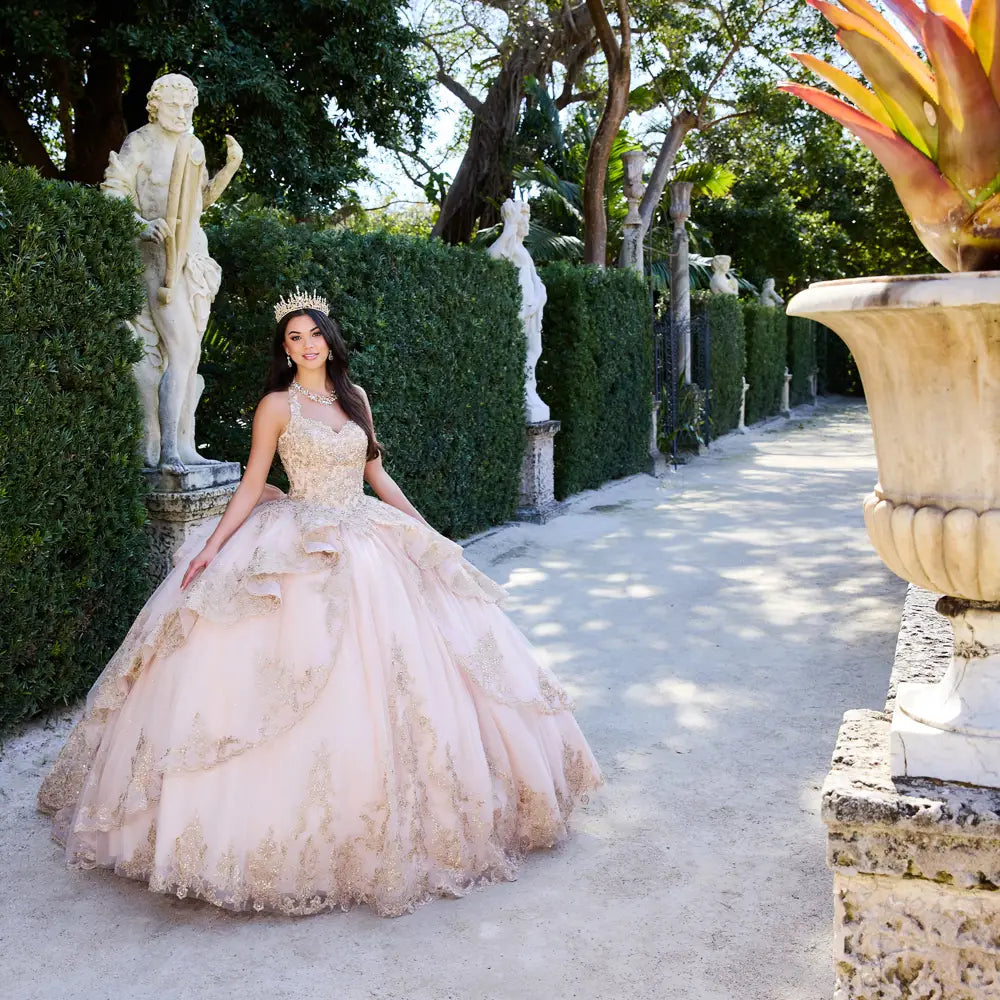 Metallic Embroidered Quinceaera Dress Metallic Embroidered Quinceaera Dress