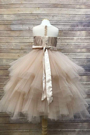 The Fancy Dress